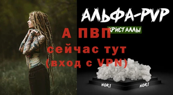 индика Михайловск