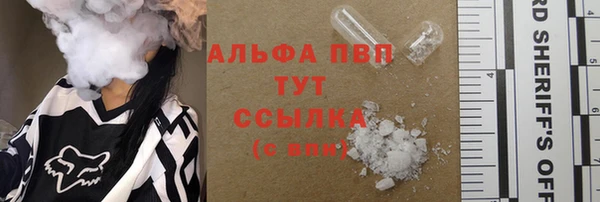 индика Михайловск
