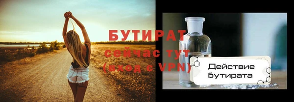 индика Михайловск