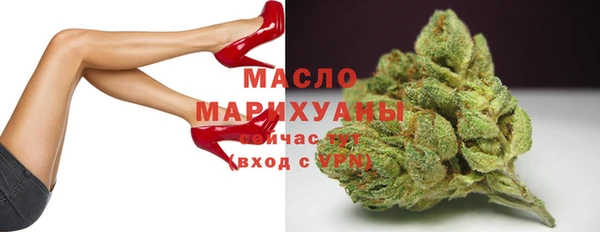 индика Михайловск