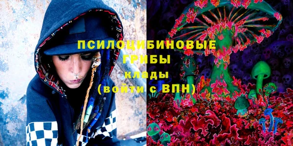 spice Белая Холуница
