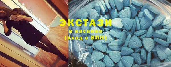 индика Михайловск