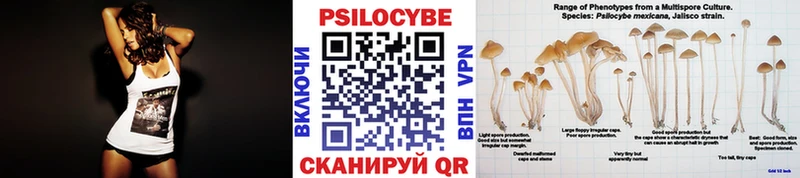 площадка как зайти  Невельск  Псилоцибиновые грибы GOLDEN TEACHER 
